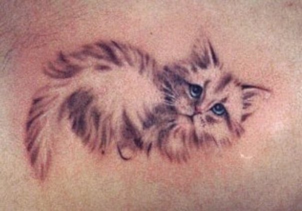 Фото, значение в магии татуировки " Кот. Кошка. Котенок. " - Страница 2 X_8c6852bb